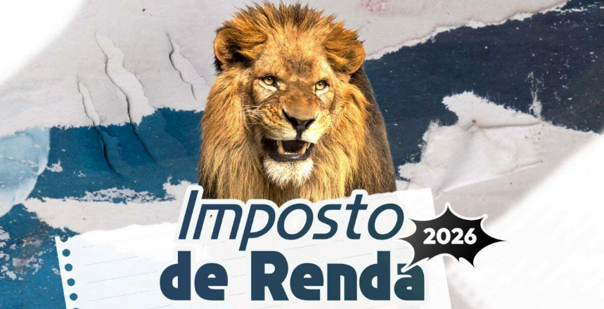 Como Declarar Investimentos no Imposto de Renda (Passo a Passo) screenshot (22)